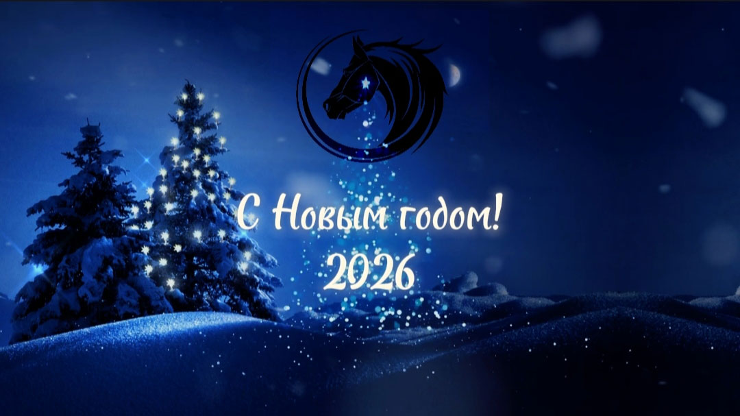 С Новым 2026 годом